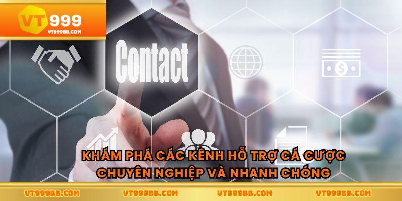 Khám phá các kênh hỗ trợ cá cược chuyên nghiệp và nhanh chóng